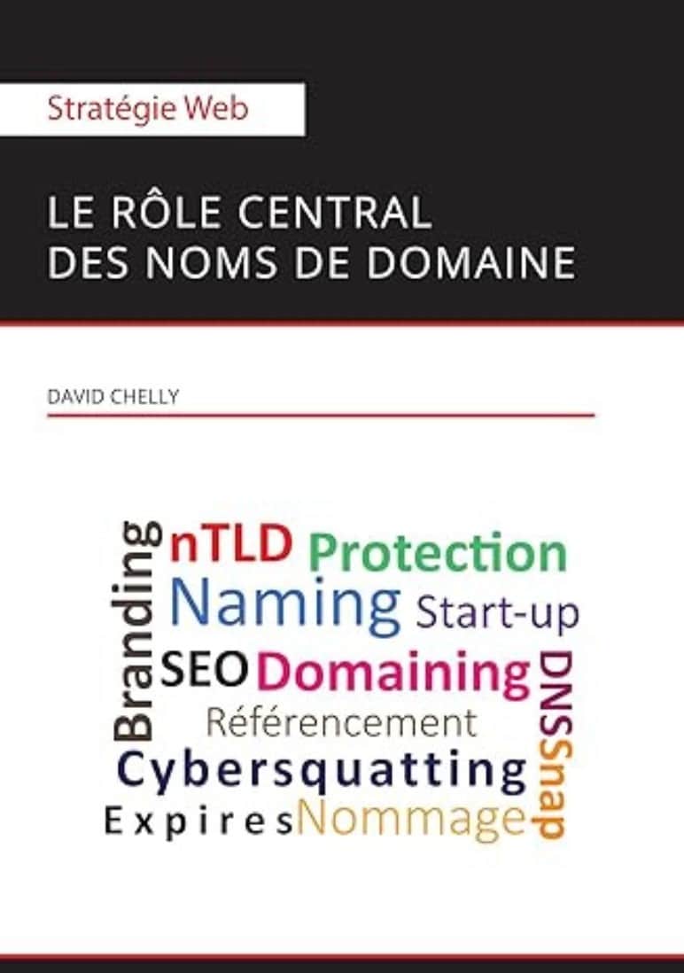 Stratégie web _ le rôle central des noms de domaine
