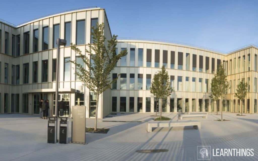 HEC Paris marketing digital