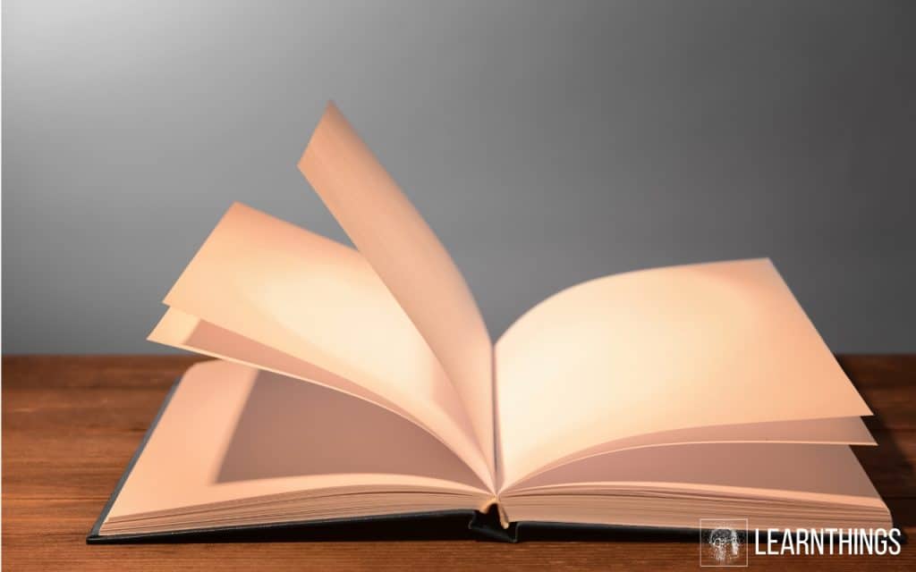 livre blanc redaction Web