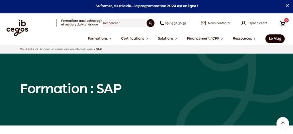 Ib Cegos Formations SAP