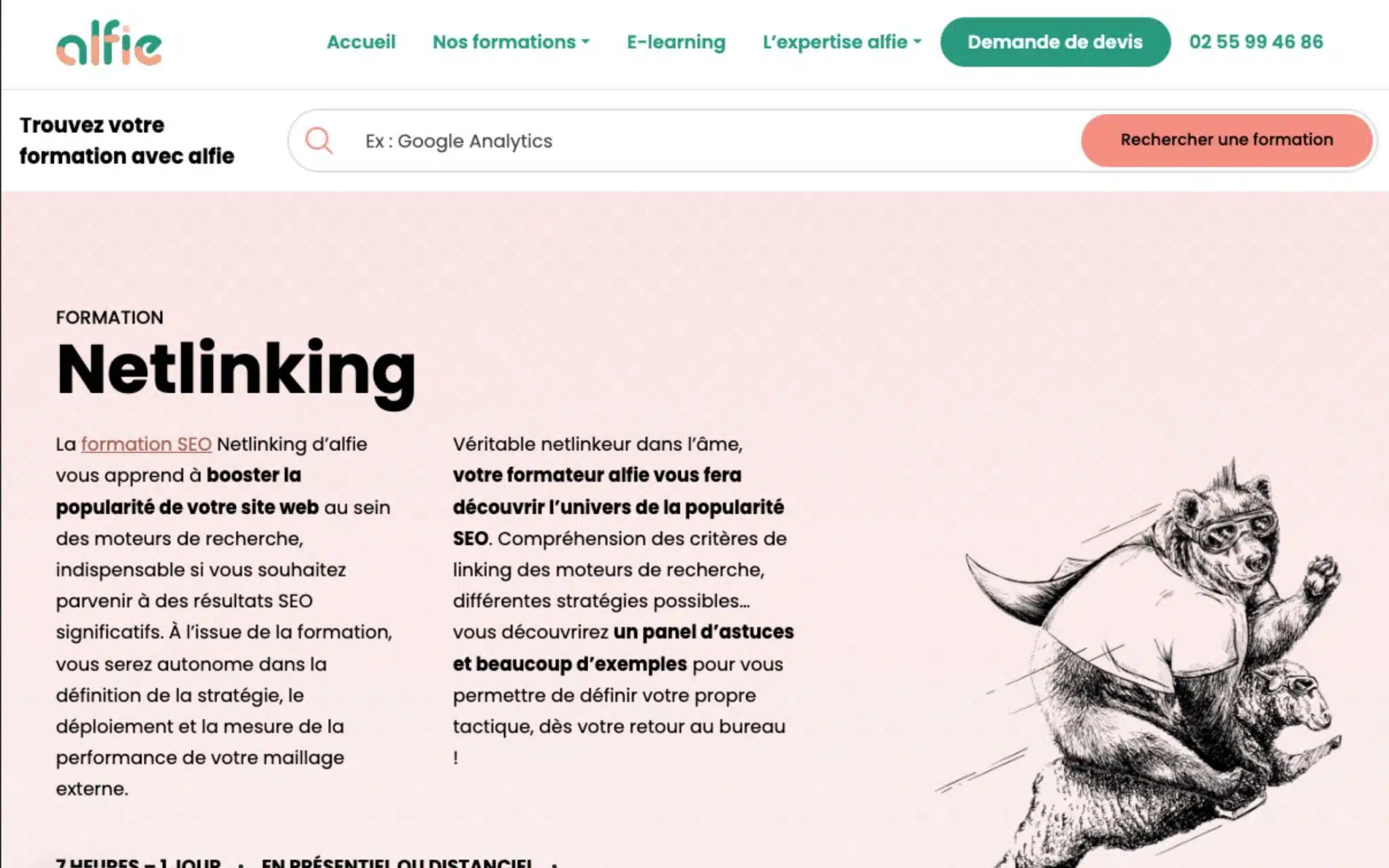 Formation Netlinking - alfie