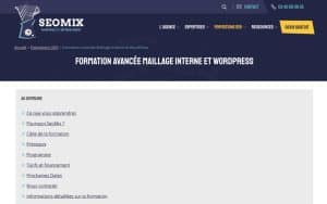 Formation avancée Maillage Interne et WordPress - SEO Mix