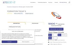 Formation TOGAF 9 – Ambient IT
