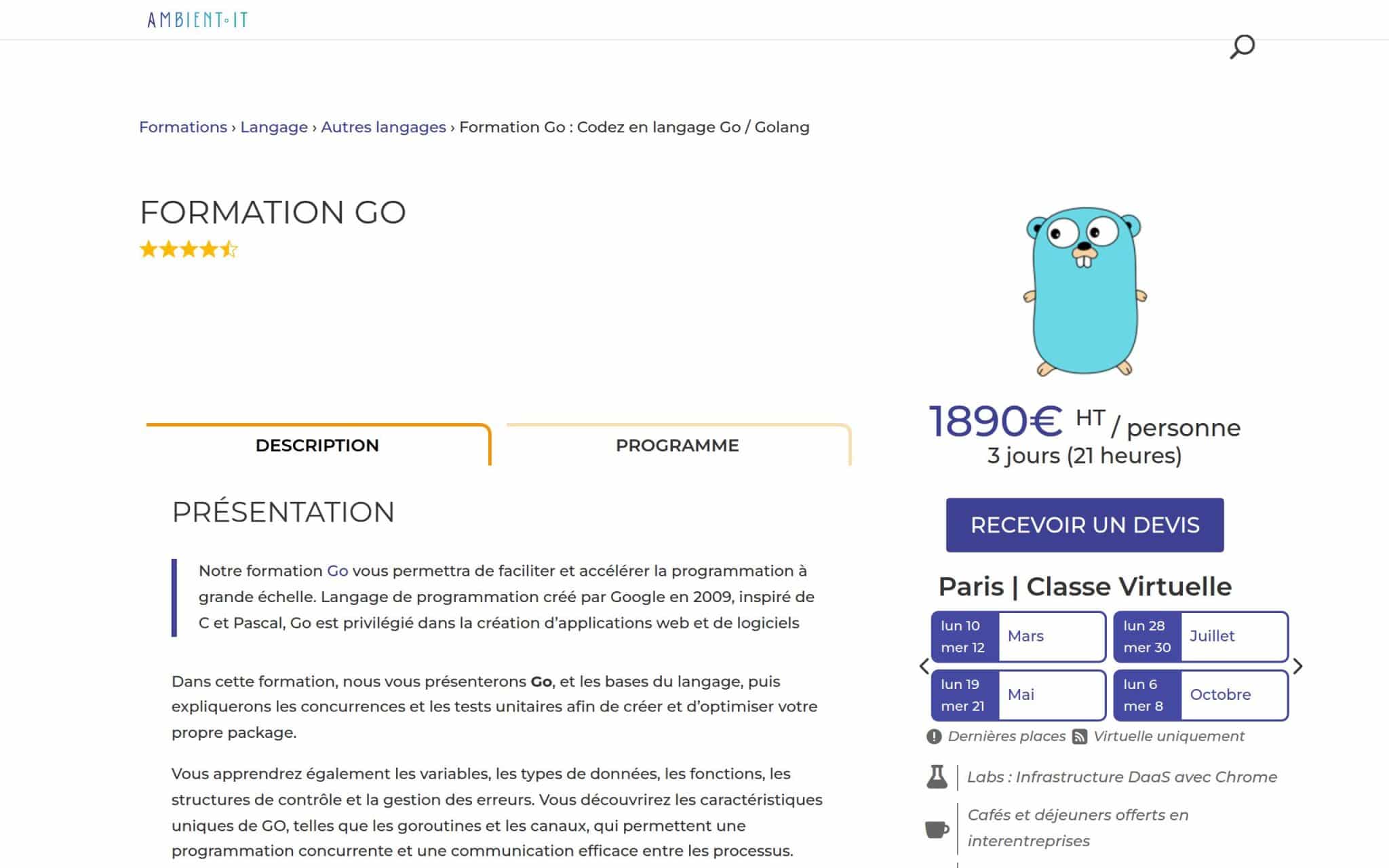 Formation Go - Ambient IT