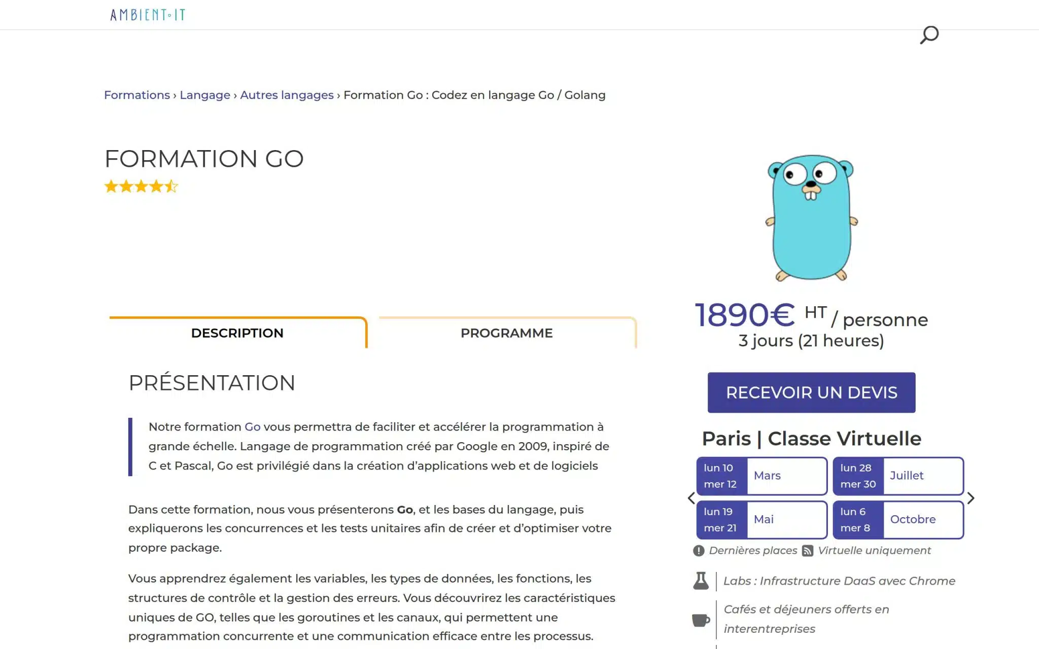 Formation Go - Ambient IT