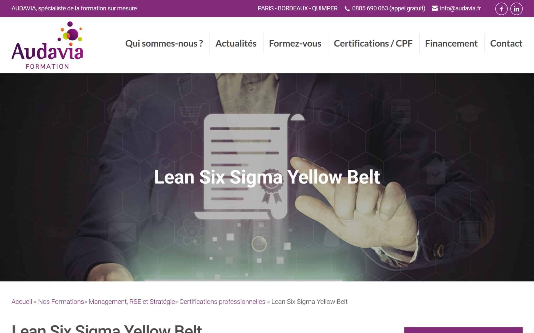 Lean Six Sigma Yellow Belt - Audavia Formation