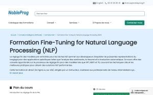Formation Fine-Tuning for Natural Language Processing (NLP) – NobleProg