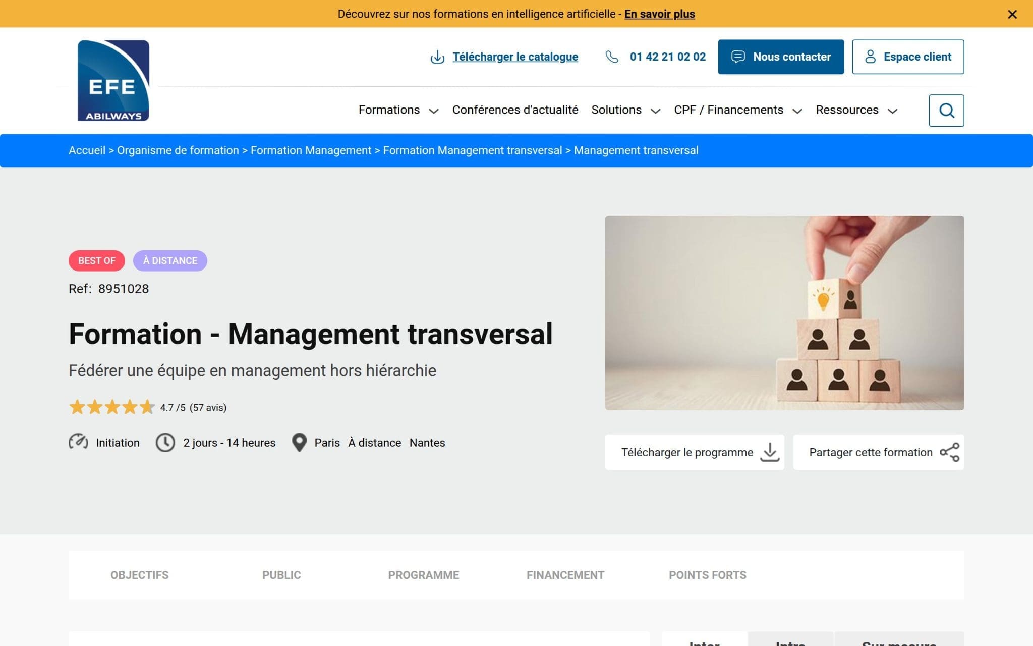 Management transversal - Efe