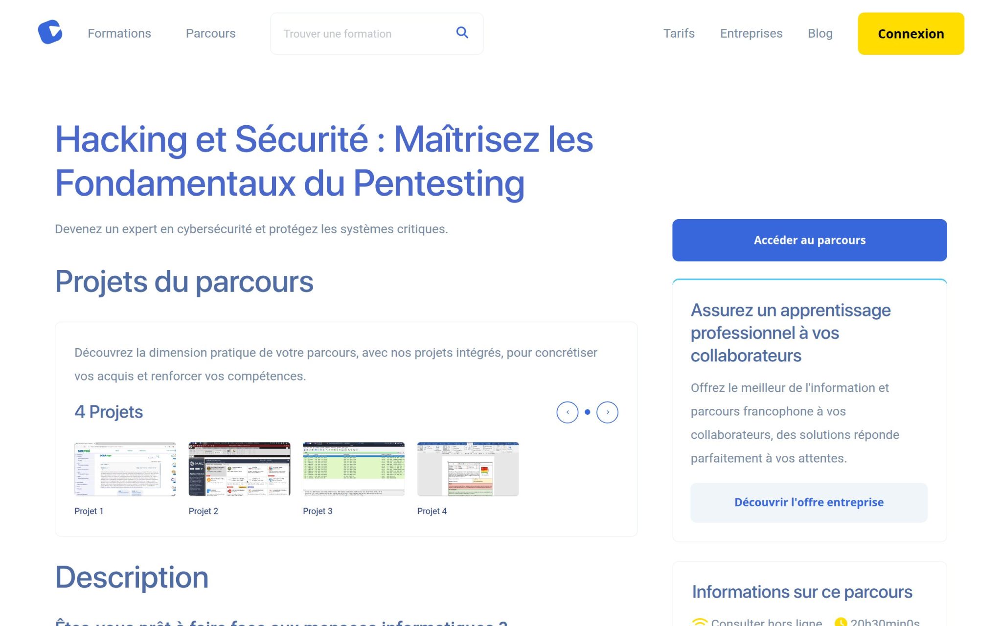 Hacking et Sécurité : Maßtrisez les Fondamentaux du Pentesting - Alphorm
