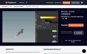 Houdini 18.5 - Atelier Particles - Elephorm