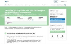 Formation Micro-profile – Plb Consultant