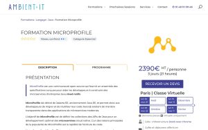 Formation Microprofile – Ambient IT