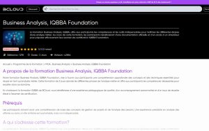 Business Analysis, IQBBA Foundation – BCloud