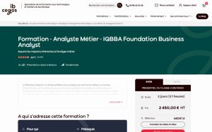 Analyste Métier – IQBBA Foundation Business Analyst – ib Cegos
