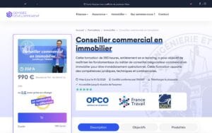 Conseiller commercial en immobilier - ODYSSEE DEVELOPPEMENT