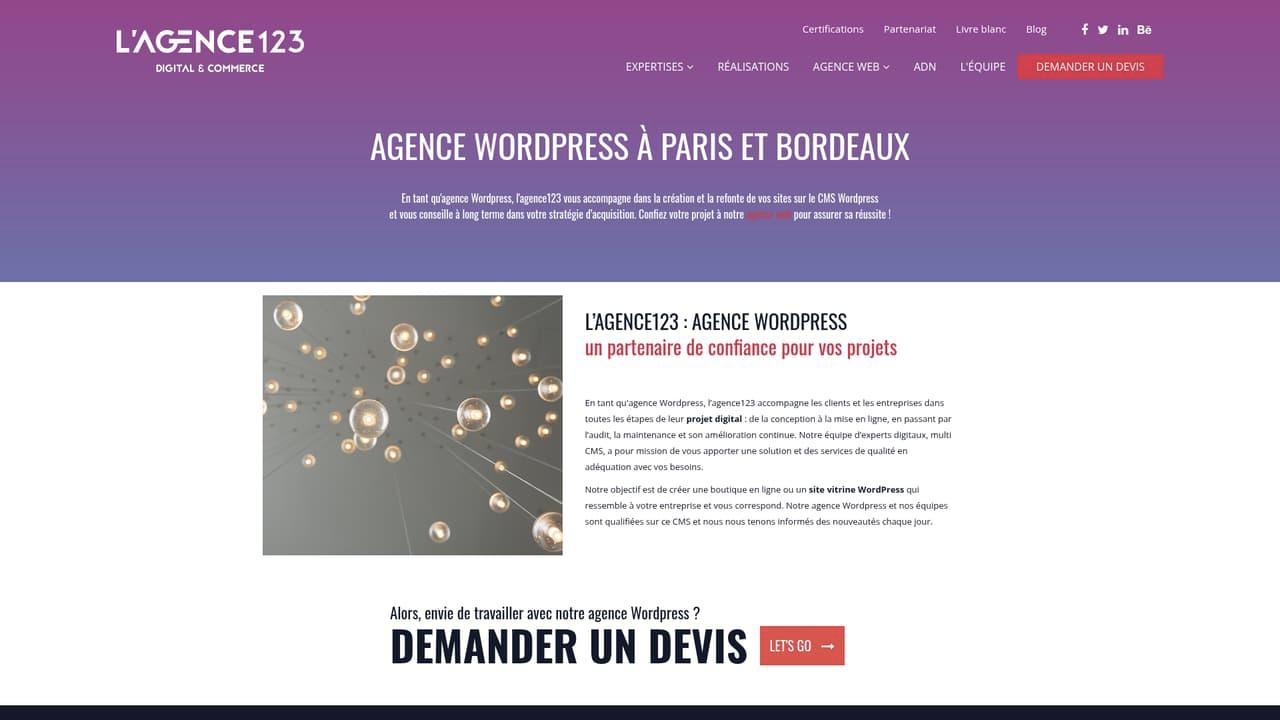 Les 10 meilleures agences Wordpress : Notre classement 4 image 1