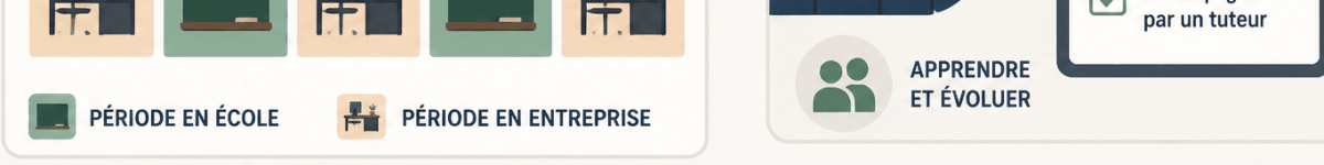 Développeur web en alternance : entreprises, rythme et missions